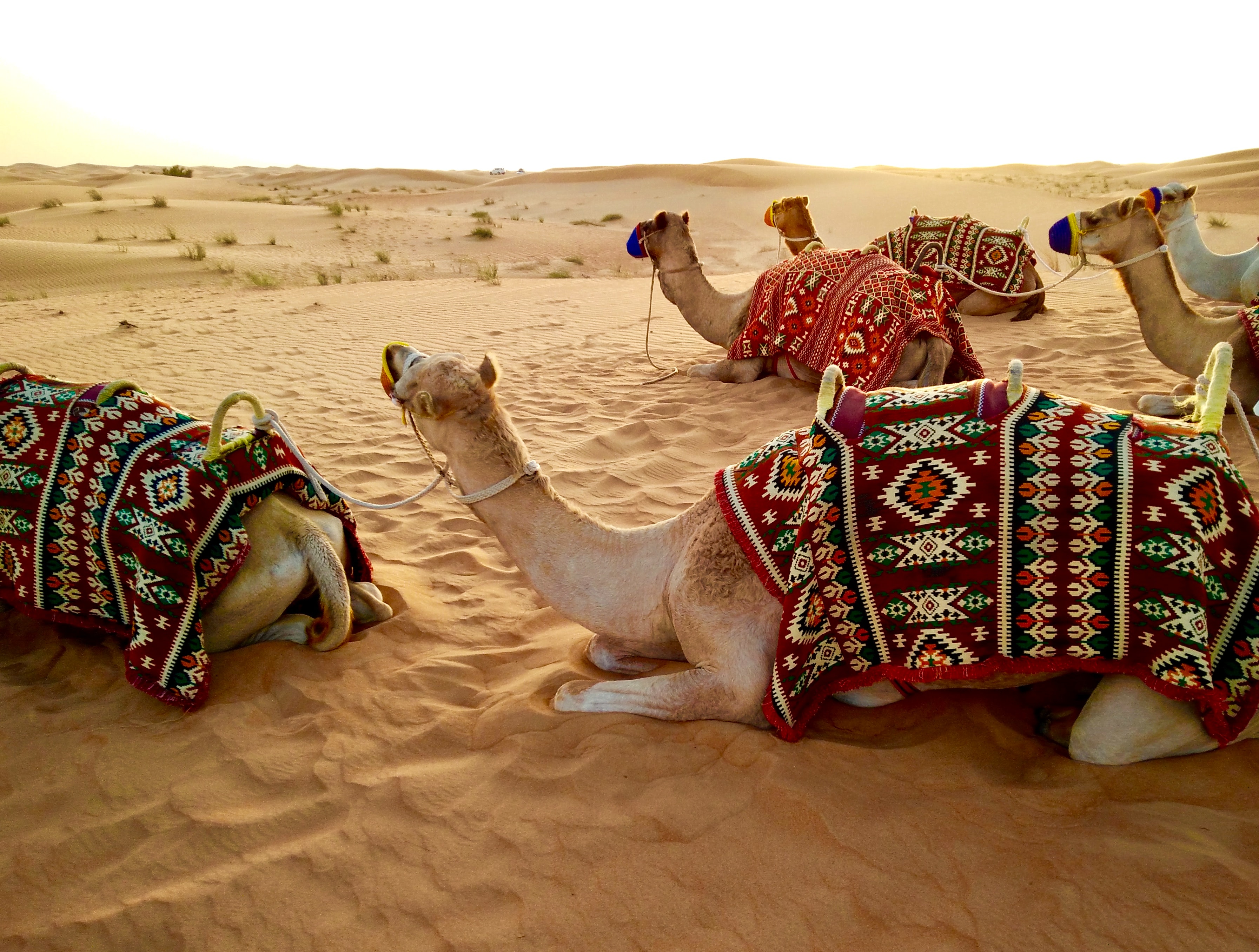 Traveller experience with Glorify Holidays