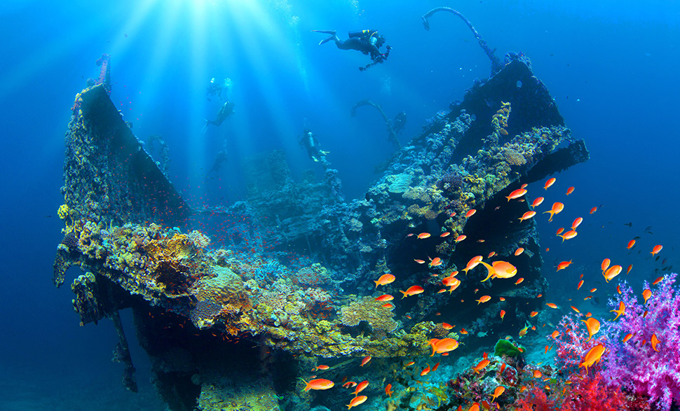 6 Red Sea Diving Experiences in Saudi to Add to Your Bucket List