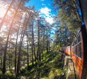 Shimla